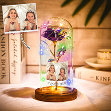 Load image into Gallery viewer, 定制设计器-永生花-B2BXHD2526,B2BXHD2527,B2BXHD2528(B2B)