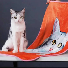 Load image into Gallery viewer, Pet Blanket(宠物毯子)