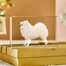 Load image into Gallery viewer, MM-内雕水晶摆件 CBS315