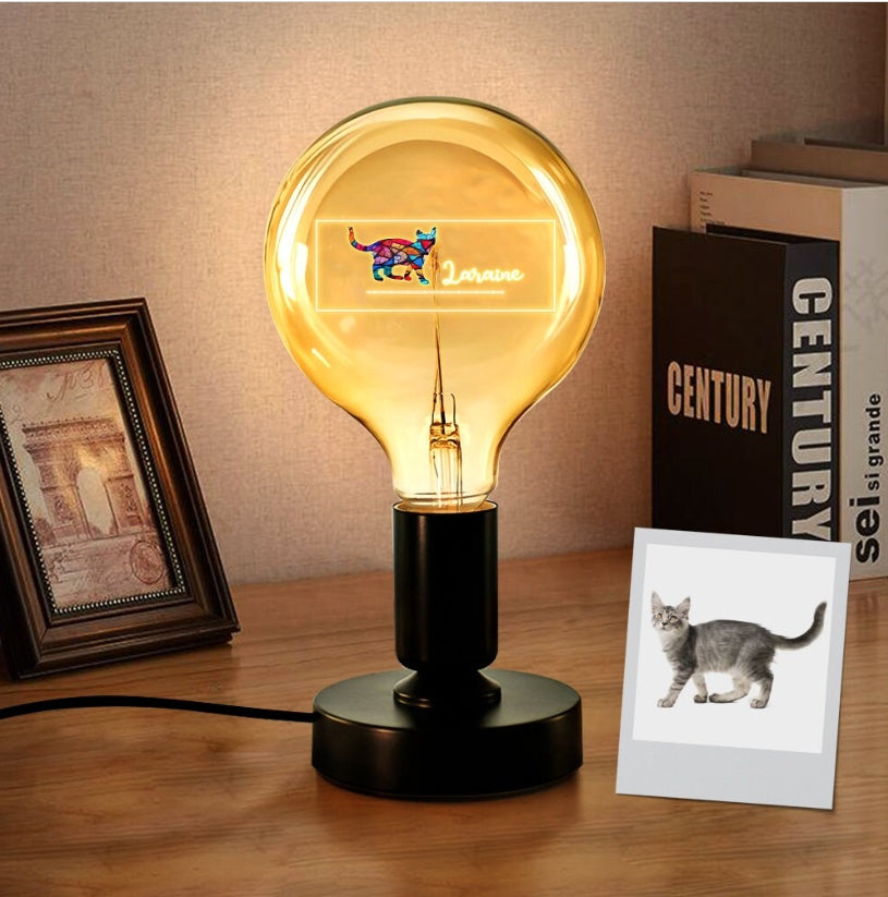 B2B-彩色复古灯泡B2BXHD5148