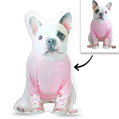 B2B-异形抱枕CYXZ1404