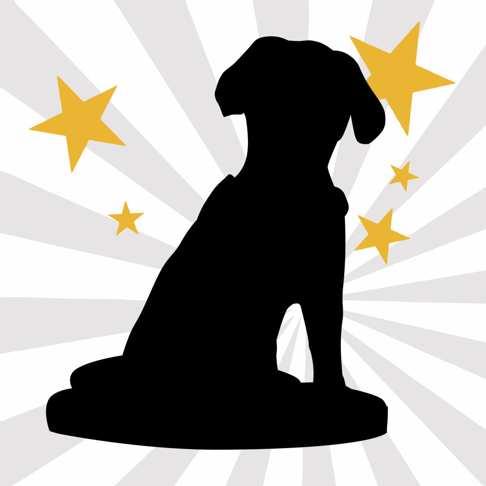 ETSY-全身定制1宠物泥人