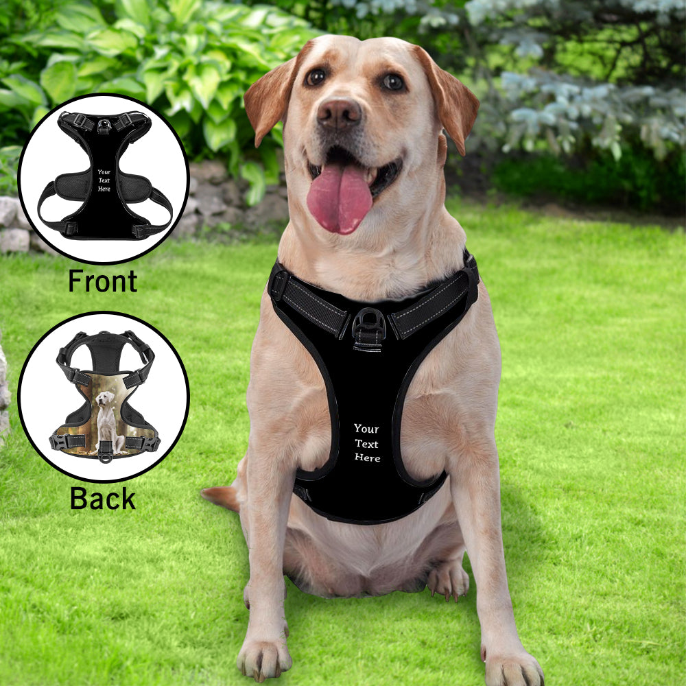 宠物牵引背心CPC204