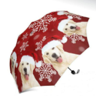 MM-传图雨伞	B2BCYS014