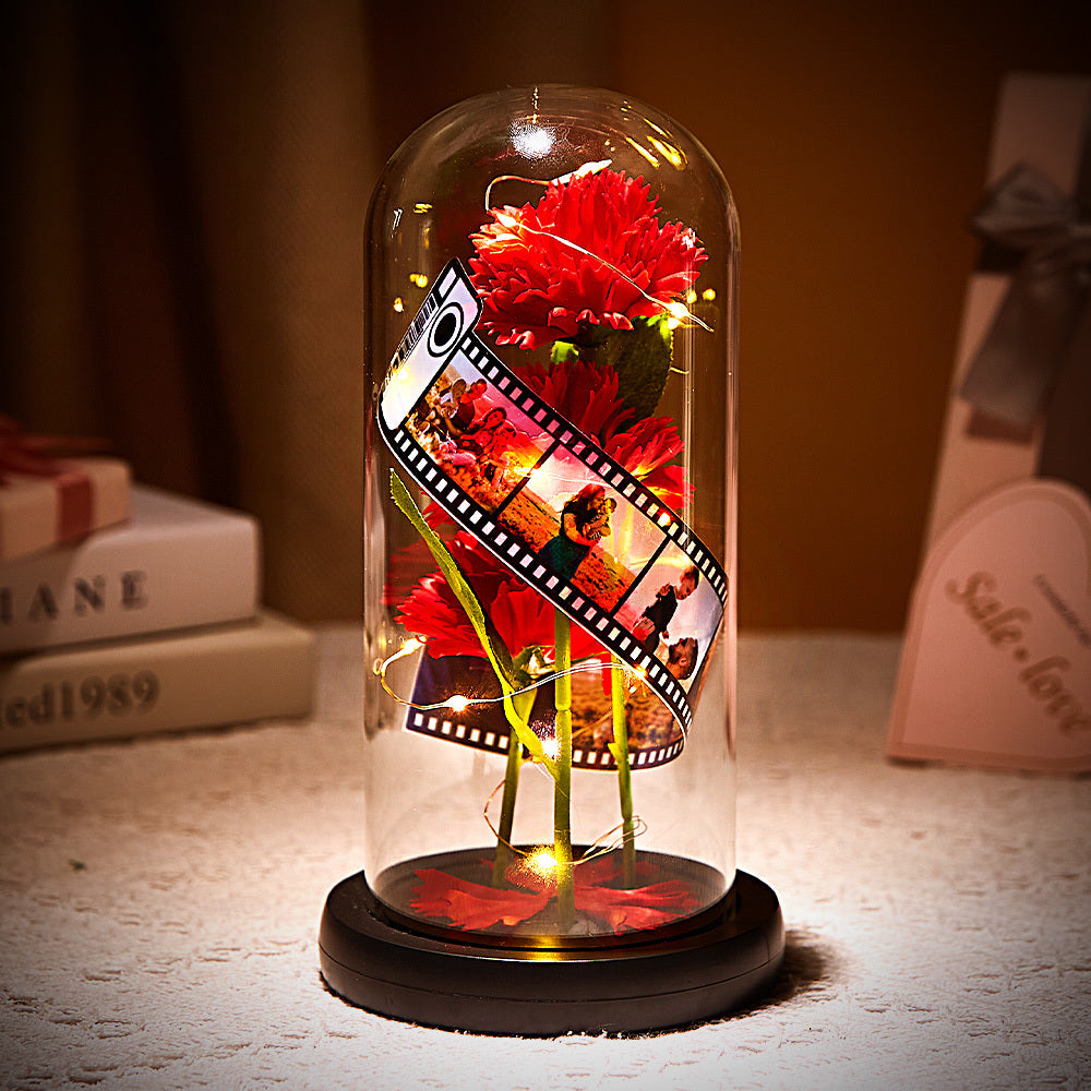 MM-传图胶卷传图5张永生花玻璃罩XHD1544