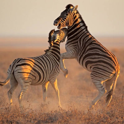 唐以生_测试产品_1